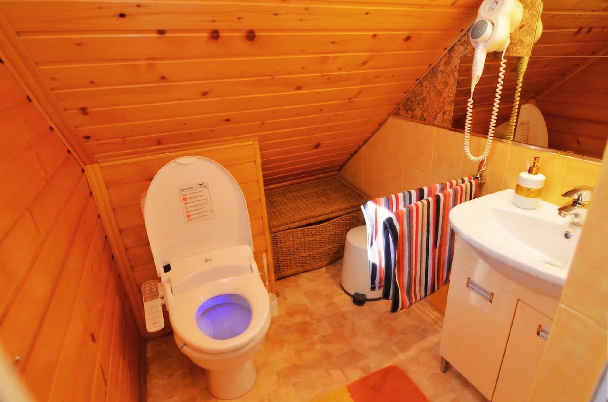 Baie WC japonez