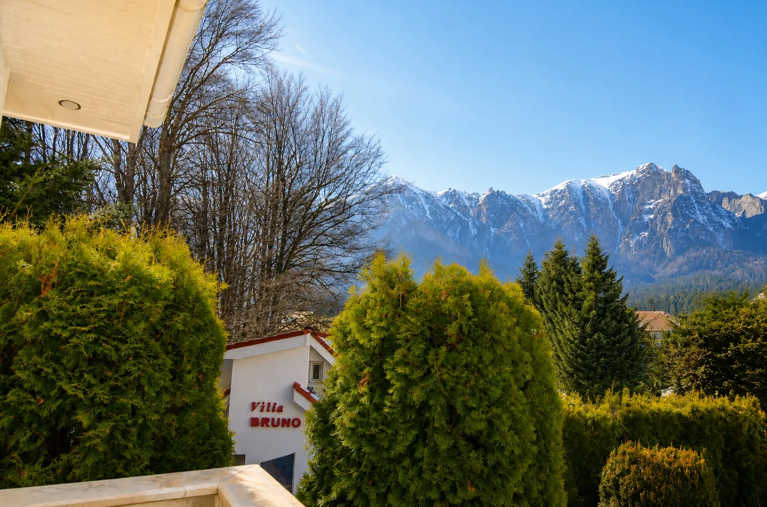 Priveliște Bucegi